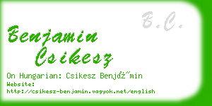 benjamin csikesz business card